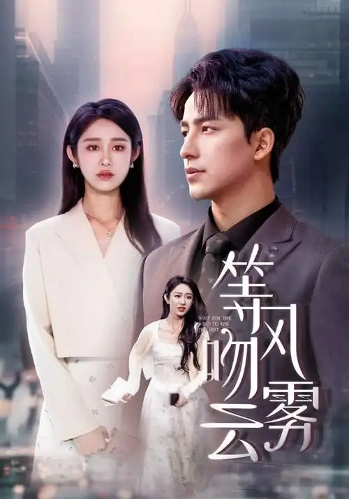 雾港迷踪 热播电视剧全集